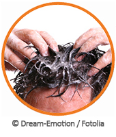 mittel gegen kopflaeuse