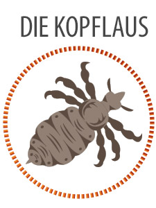 Kapitel: Die Kopflaus
