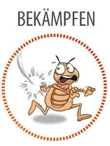 Kapitel: Läuse bekämpfen