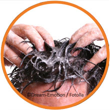 kopflaeuse mittel gegen