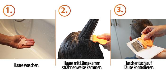 laeuse diagnose stellen